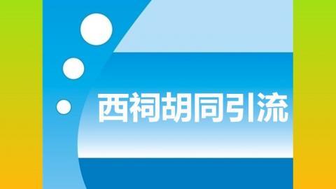 西祠胡同引流