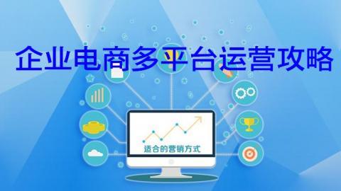 企业电商多平台运营攻略